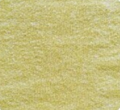 CULT SHORTS Canary