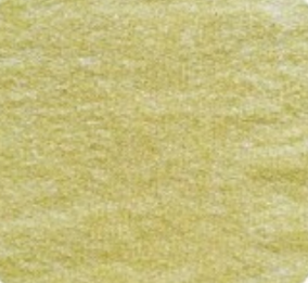 CULT SHORTS Canary